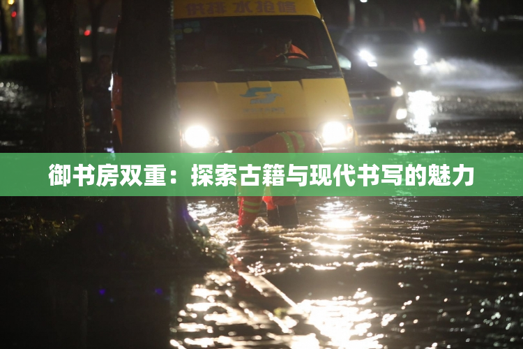 御书房双重：探索古籍与现代书写的魅力