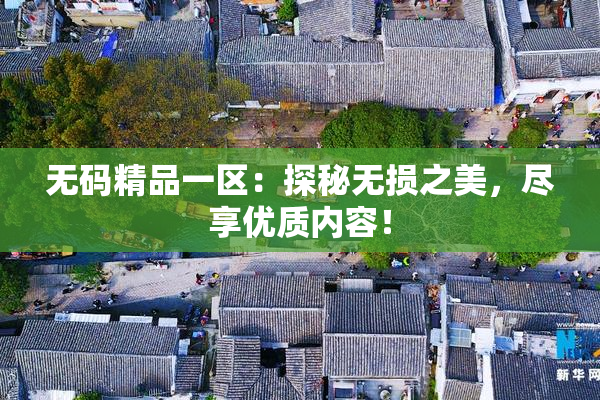无码精品一区：探秘无损之美，尽享优质内容！