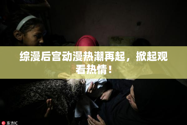 综漫后宫动漫热潮再起，掀起观看热情！