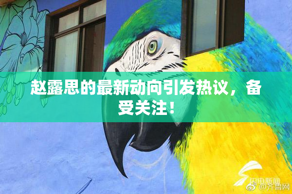 赵露思的最新动向引发热议，备受关注！
