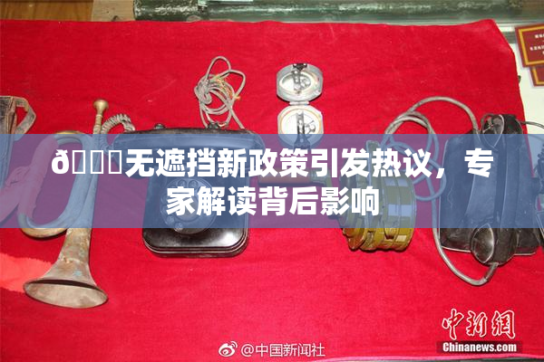 🔞无遮挡新政策引发热议，专家解读背后影响