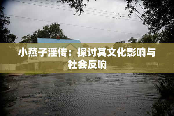小燕子淫传：探讨其文化影响与社会反响