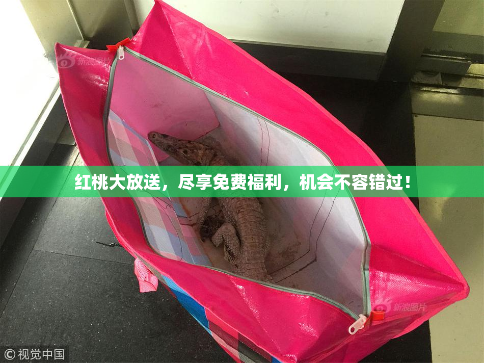 红桃大放送，尽享免费福利，机会不容错过！