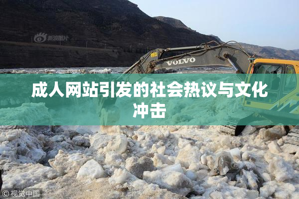 成人网站引发的社会热议与文化冲击