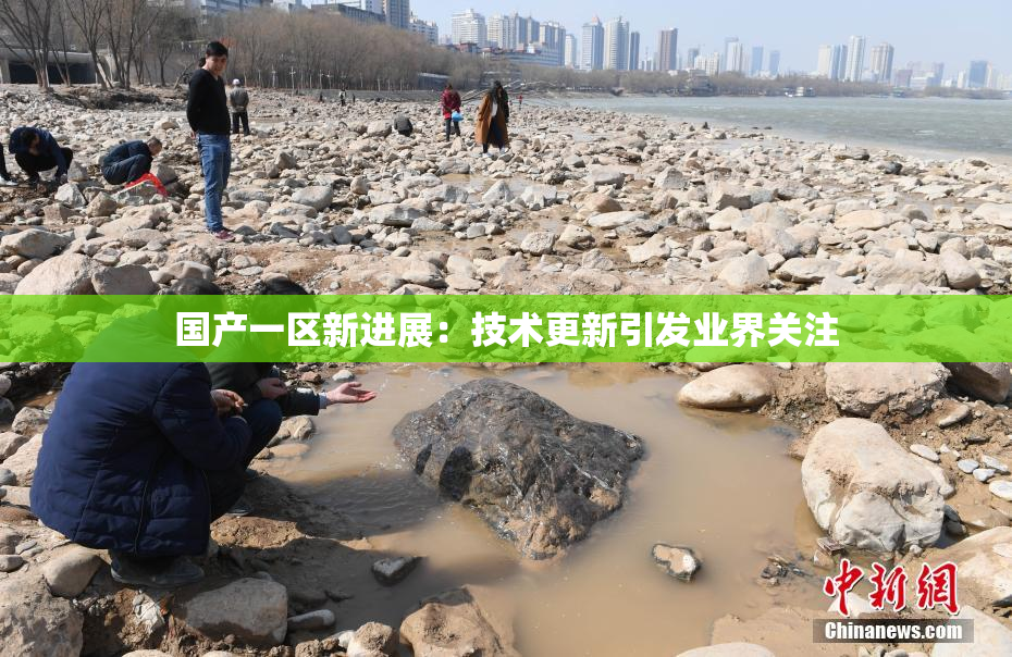 国产一区新进展：技术更新引发业界关注