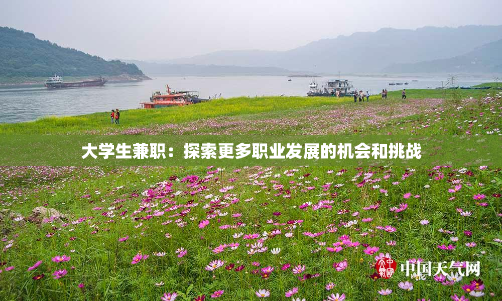 大学生兼职：探索更多职业发展的机会和挑战