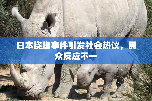 日本挠脚事件引发社会热议，民众反应不一