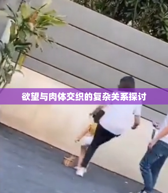 欲望与肉体交织的复杂关系探讨