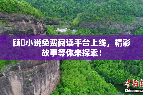 顾嫚小说免费阅读平台上线，精彩故事等你来探索！