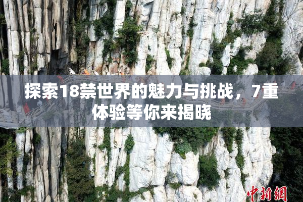 探索18禁世界的魅力与挑战，7重体验等你来揭晓