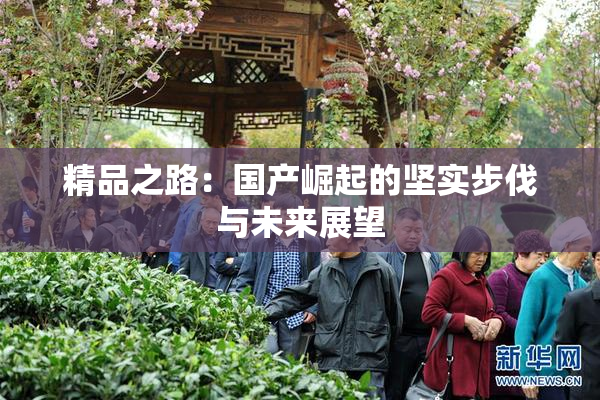 精品之路：国产崛起的坚实步伐与未来展望