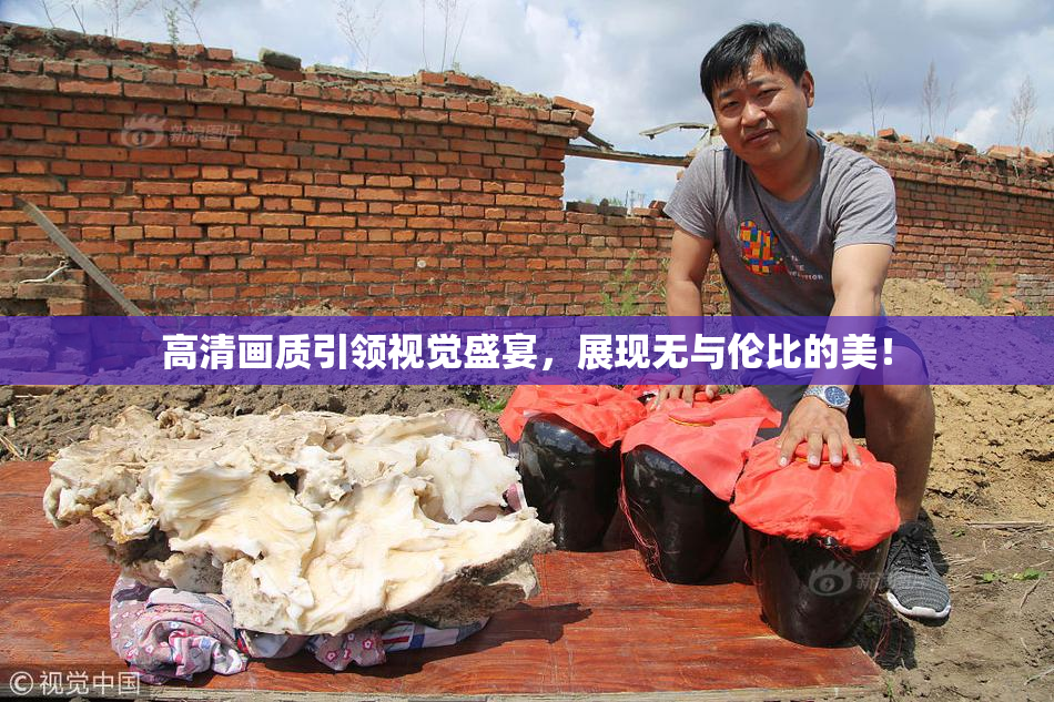 高清画质引领视觉盛宴，展现无与伦比的美！