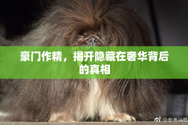 豪门作精，揭开隐藏在奢华背后的真相