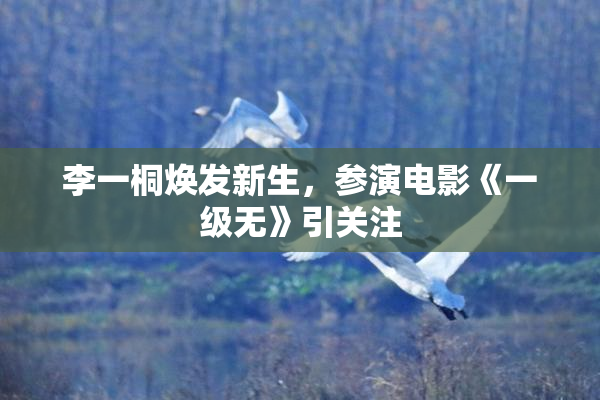 李一桐焕发新生，参演电影《一级无》引关注