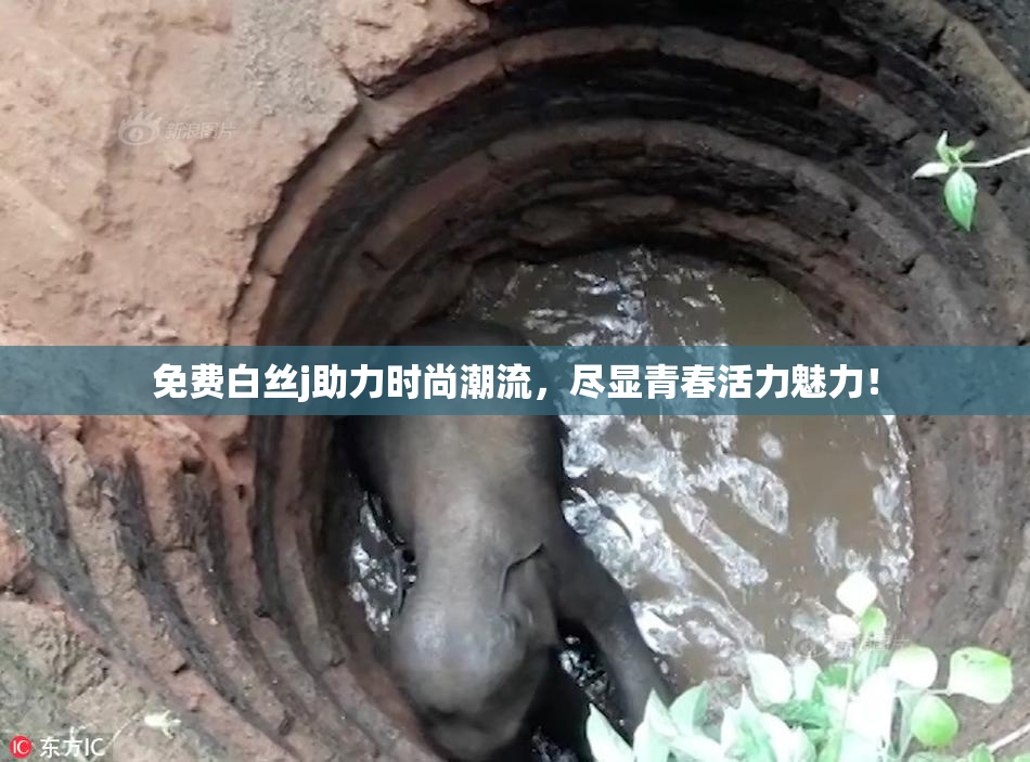 免费白丝j助力时尚潮流，尽显青春活力魅力！