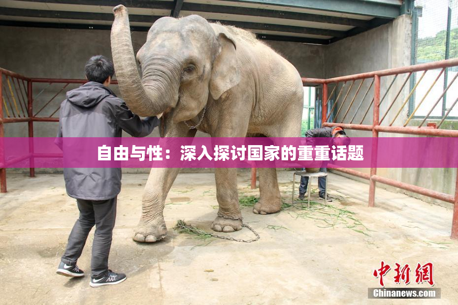自由与性：深入探讨国家的重重话题