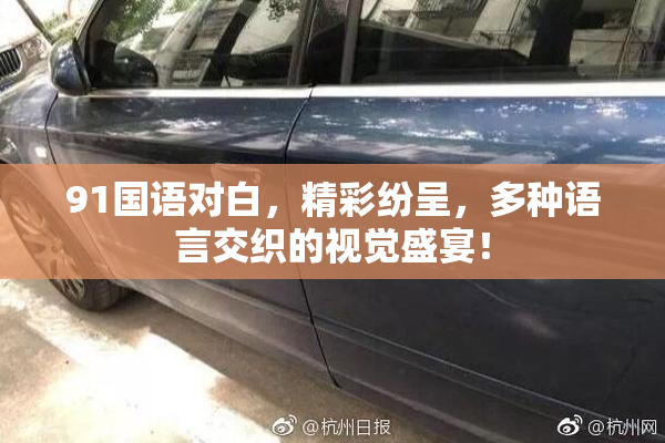 91国语对白，精彩纷呈，多种语言交织的视觉盛宴！