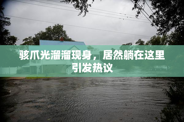 骇爪光溜溜现身，居然躺在这里引发热议