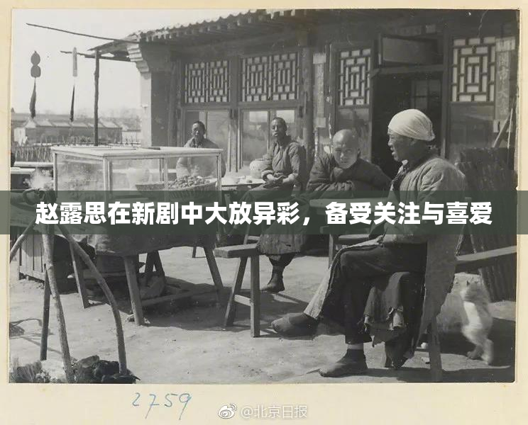 赵露思在新剧中大放异彩，备受关注与喜爱