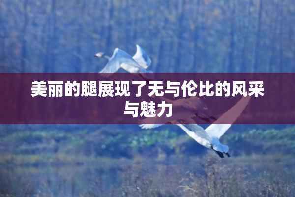 美丽的腿展现了无与伦比的风采与魅力