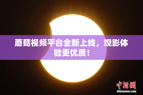 蘑菇视频平台全新上线，观影体验更优质！