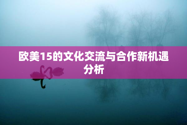欧美15的文化交流与合作新机遇分析