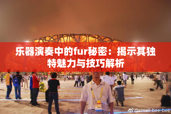 乐器演奏中的fur秘密：揭示其独特魅力与技巧解析