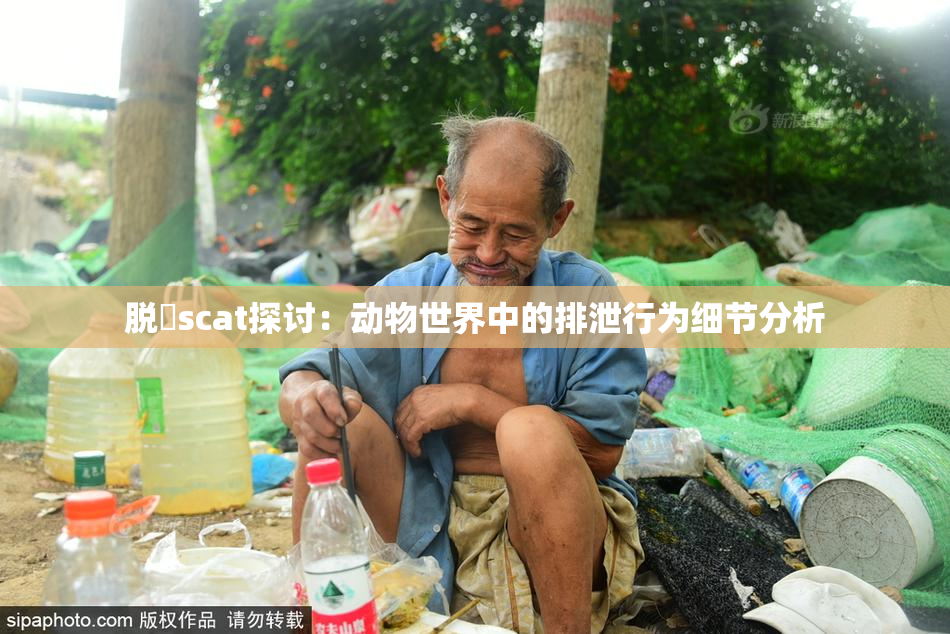 脱糞scat探讨：动物世界中的排泄行为细节分析