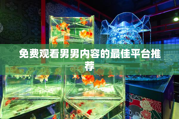 免费观看男男内容的最佳平台推荐