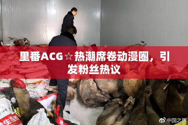 里番ACG☆热潮席卷动漫圈，引发粉丝热议