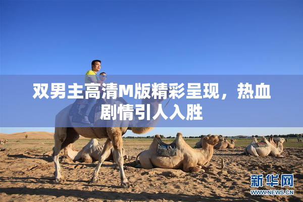 双男主高清M版精彩呈现，热血剧情引人入胜