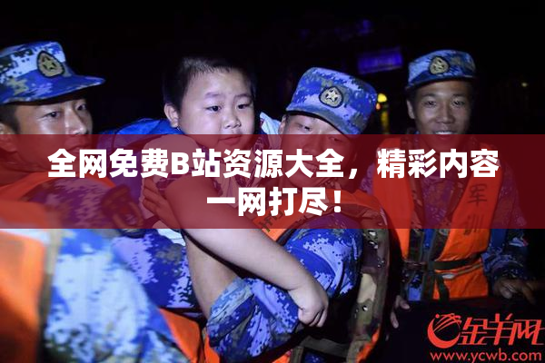 全网免费B站资源大全，精彩内容一网打尽！