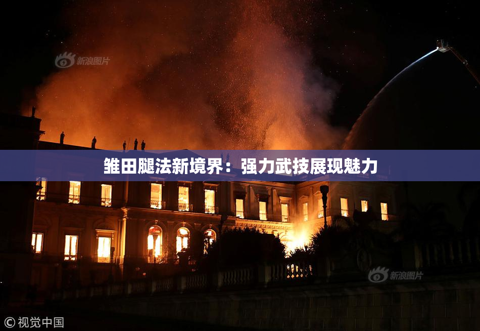 雏田腿法新境界：强力武技展现魅力