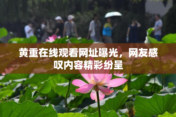 黄重在线观看网址曝光，网友感叹内容精彩纷呈