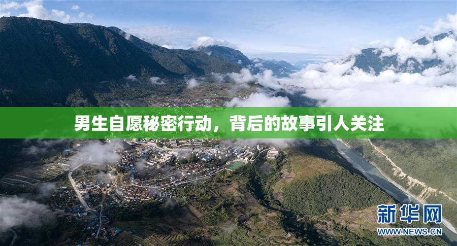 男生自愿秘密行动，背后的故事引人关注