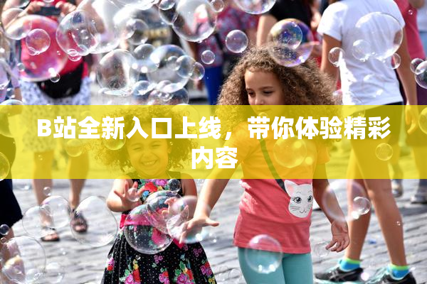 B站全新入口上线，带你体验精彩内容
