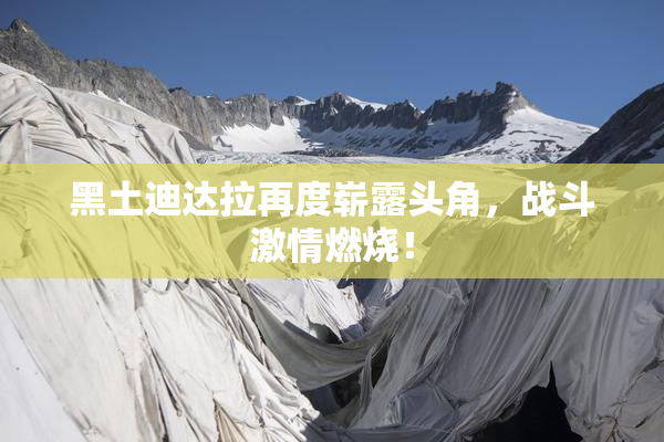 黑土迪达拉再度崭露头角，战斗激情燃烧！