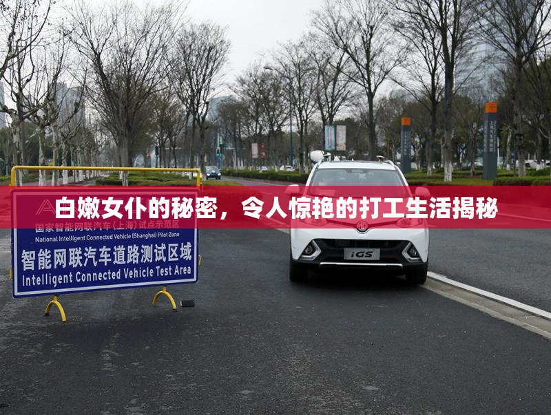 白嫩女仆的秘密，令人惊艳的打工生活揭秘
