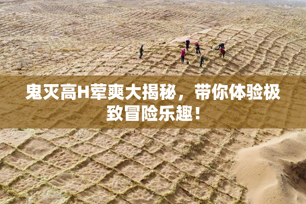 鬼灭高H荤爽大揭秘，带你体验极致冒险乐趣！