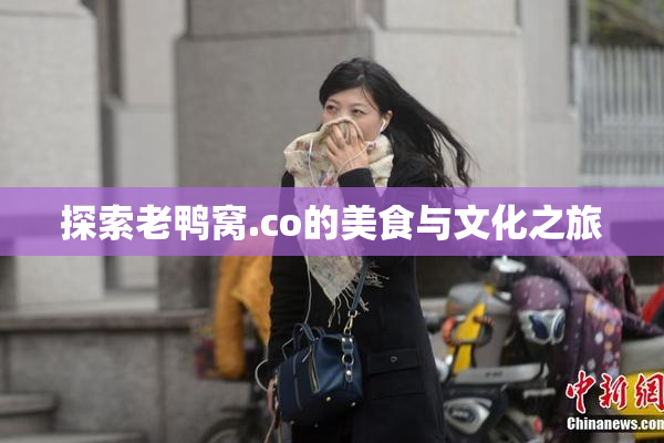 探索老鸭窝.co的美食与文化之旅