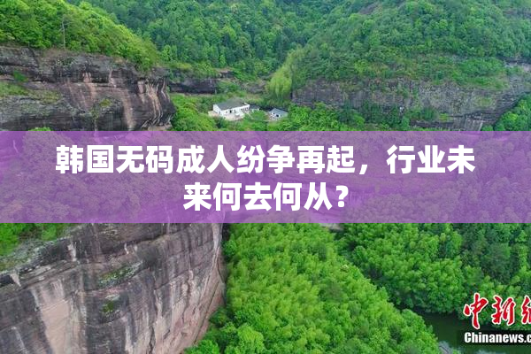 韩国无码成人纷争再起，行业未来何去何从？