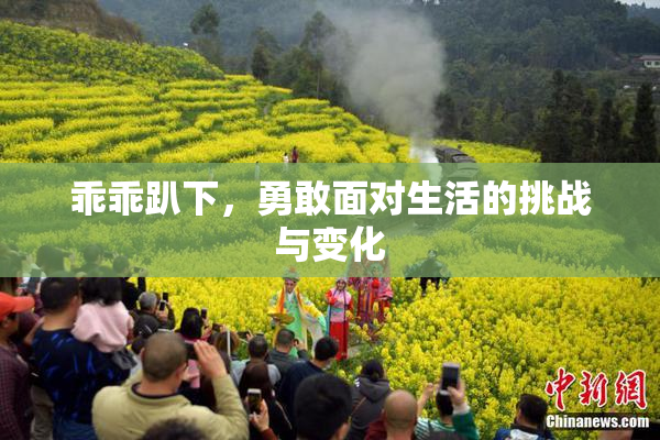 乖乖趴下，勇敢面对生活的挑战与变化