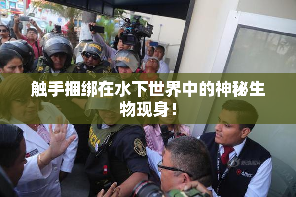触手捆绑在水下世界中的神秘生物现身！