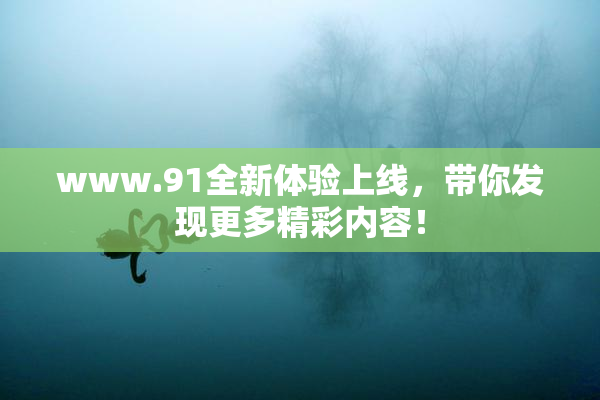 www.91全新体验上线，带你发现更多精彩内容！