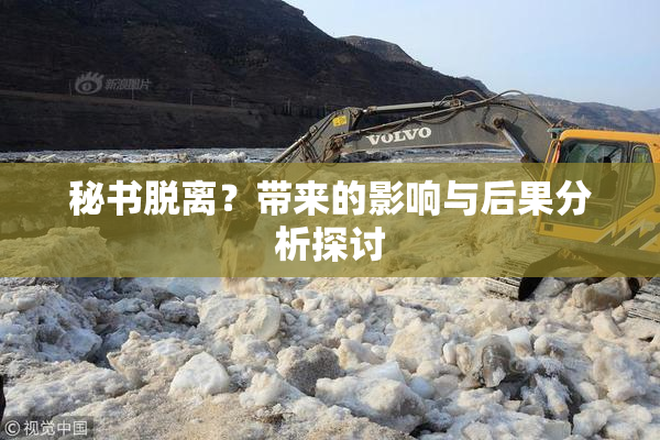 秘书脱离？带来的影响与后果分析探讨