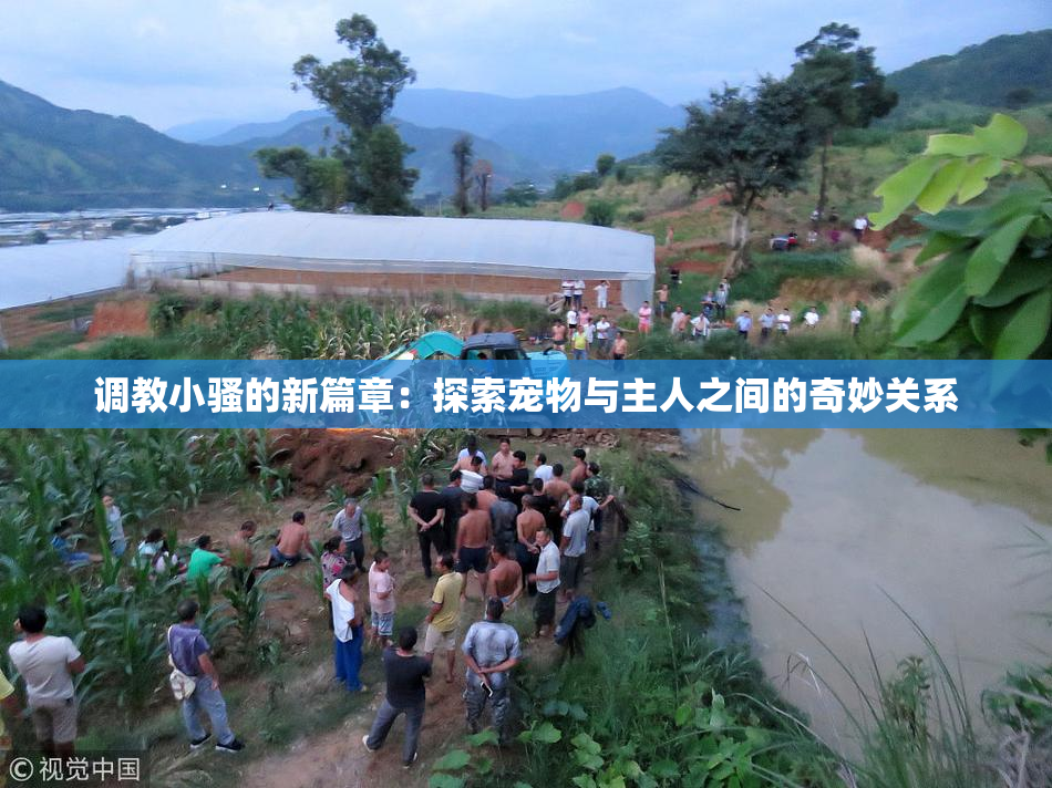 调教小骚的新篇章：探索宠物与主人之间的奇妙关系