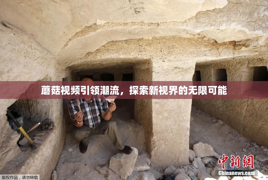 蘑菇视频引领潮流，探索新视界的无限可能