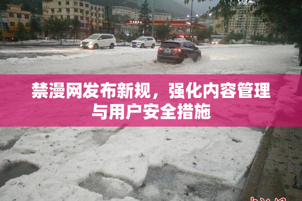 禁漫网发布新规，强化内容管理与用户安全措施