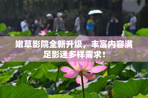 嫩草影院全新升级，丰富内容满足影迷多样需求！