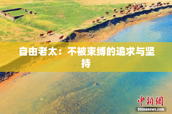 自由老太：不被束缚的追求与坚持